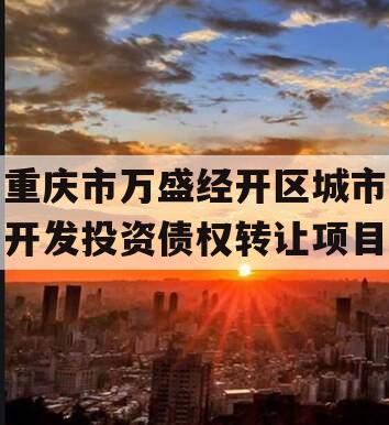 重庆市万盛经开区城市开发投资债权转让项目