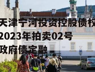 天津宁河投资控股债权2023年拍卖02号政府债定融