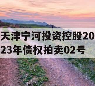 天津宁河投资控股2023年债权拍卖02号