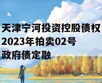 天津宁河投资控股债权2023年拍卖02号政府债定融