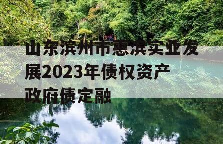 山东滨州市惠滨实业发展2023年债权资产政府债定融