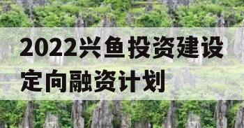 2022兴鱼投资建设定向融资计划