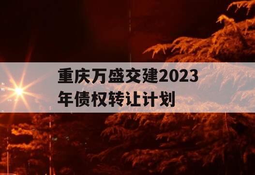 重庆万盛交建2023年债权转让计划