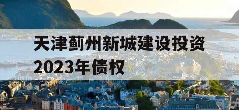 天津蓟州新城建设投资2023年债权