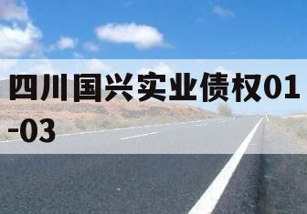 四川国兴实业债权01-03