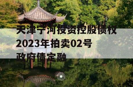 天津宁河投资控股债权2023年拍卖02号政府债定融