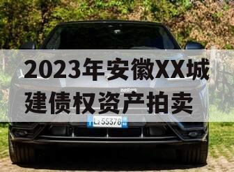 2023年安徽XX城建债权资产拍卖