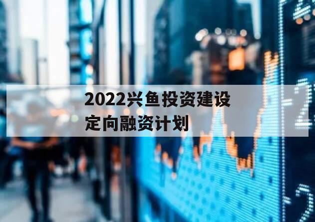 2022兴鱼投资建设定向融资计划