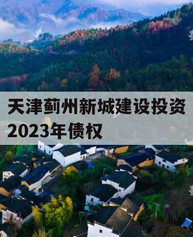 天津蓟州新城建设投资2023年债权