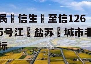 民‮信生‬至信1265号江‮盐苏‬城市非标