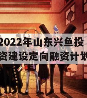 2022年山东兴鱼投资建设定向融资计划