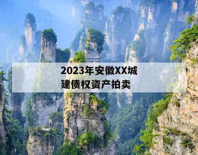 2023年安徽XX城建债权资产拍卖