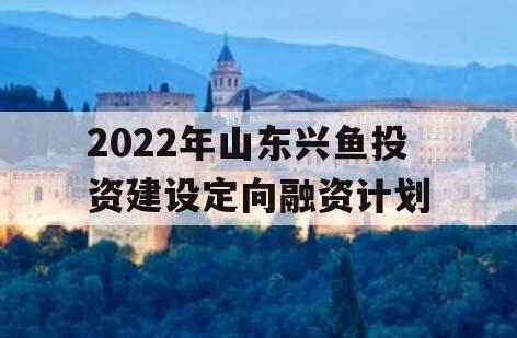 2022年山东兴鱼投资建设定向融资计划