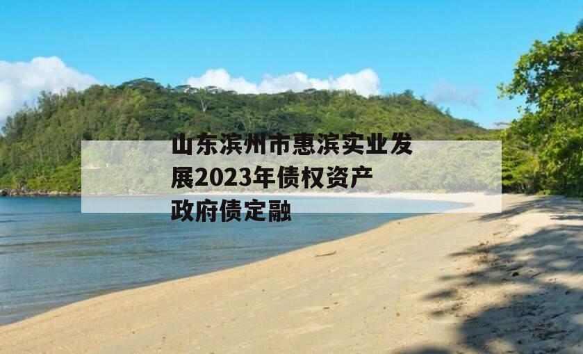 山东滨州市惠滨实业发展2023年债权资产政府债定融