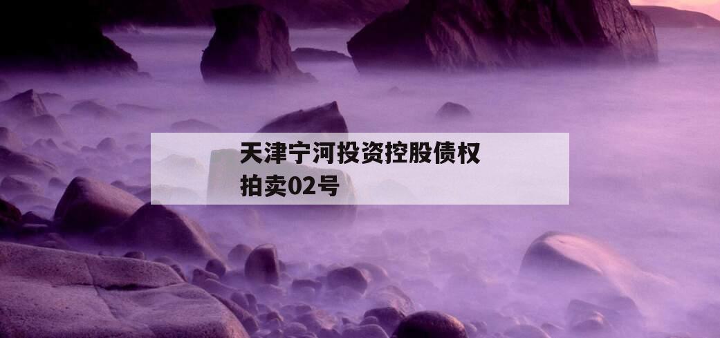 天津宁河投资控股债权拍卖02号