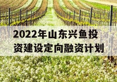 2022年山东兴鱼投资建设定向融资计划