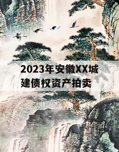 2023年安徽XX城建债权资产拍卖