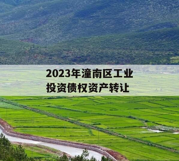 2023年潼南区工业投资债权资产转让