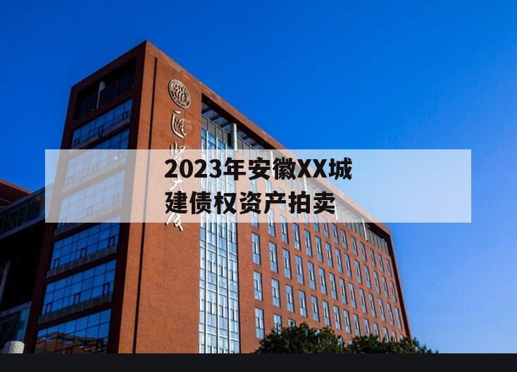 2023年安徽XX城建债权资产拍卖