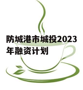 防城港市城投2023年融资计划