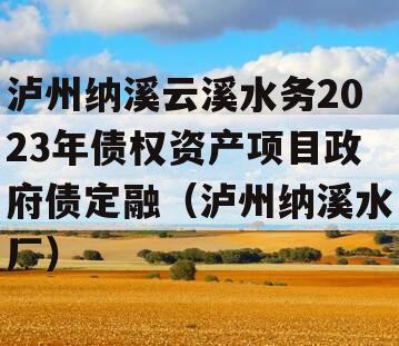 泸州纳溪云溪水务2023年债权资产项目政府债定融（泸州纳溪水厂）