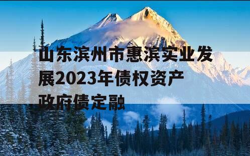 山东滨州市惠滨实业发展2023年债权资产政府债定融