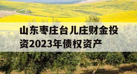 山东枣庄台儿庄财金投资2023年债权资产