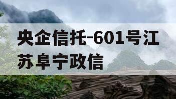 央企信托-601号江苏阜宁政信