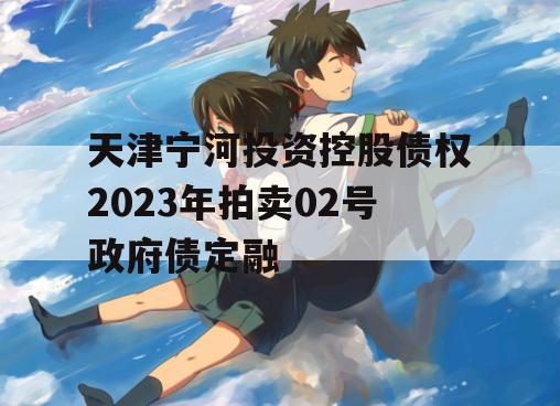 天津宁河投资控股债权2023年拍卖02号政府债定融