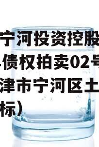 天津宁河投资控股2023年债权拍卖02号（天津市宁河区土地公开招标）