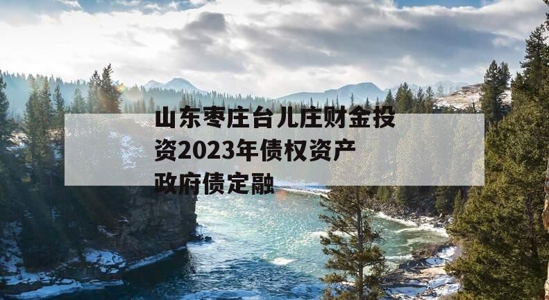 山东枣庄台儿庄财金投资2023年债权资产政府债定融