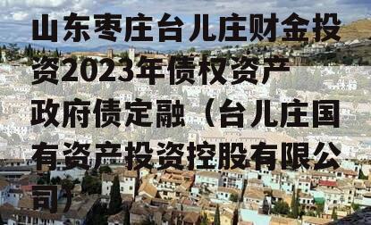 山东枣庄台儿庄财金投资2023年债权资产政府债定融（台儿庄国有资产投资控股有限公司）