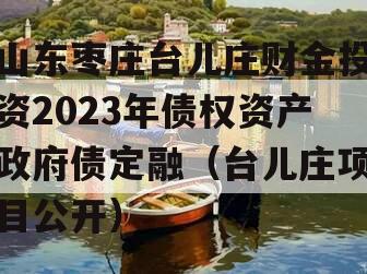 山东枣庄台儿庄财金投资2023年债权资产政府债定融（台儿庄项目公开）