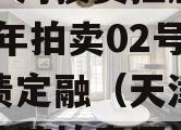 天津宁河投资控股债权2023年拍卖02号政府债定融（天津市宁河区法院拍卖网）