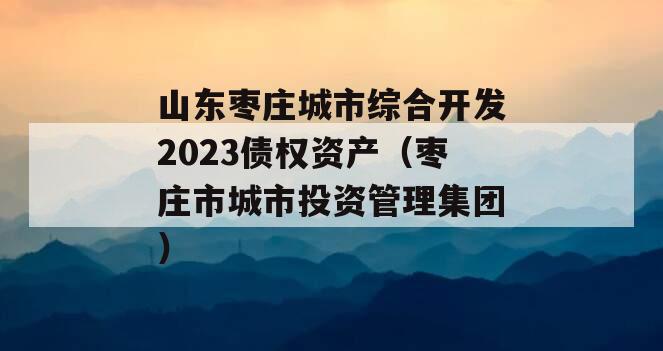 山东枣庄城市综合开发2023债权资产（枣庄市城市投资管理集团）