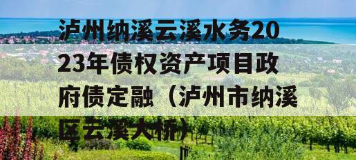 泸州纳溪云溪水务2023年债权资产项目政府债定融（泸州市纳溪区云溪大桥）