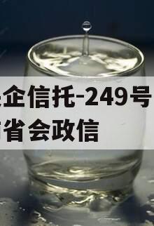 央企信托-249号济南省会政信