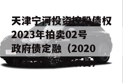 天津宁河投资控股债权2023年拍卖02号政府债定融（2020年天津宁河区项目）