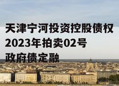 天津宁河投资控股债权2023年拍卖02号政府债定融