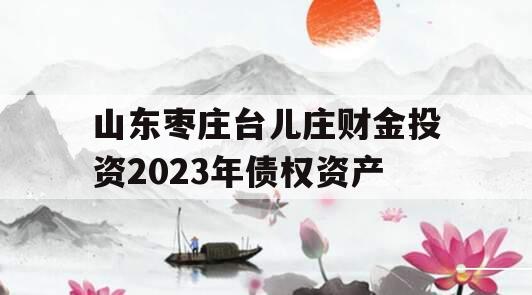 山东枣庄台儿庄财金投资2023年债权资产