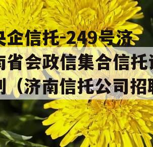 央企信托-249号济南省会政信集合信托计划（济南信托公司招聘）