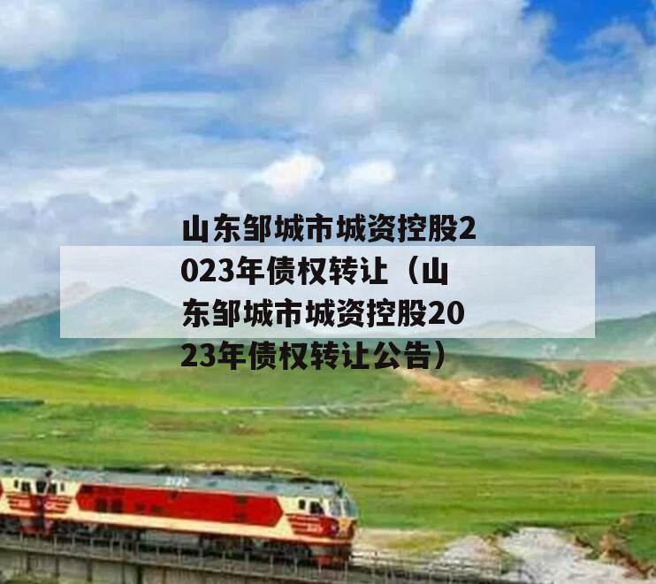 山东邹城市城资控股2023年债权转让（山东邹城市城资控股2023年债权转让公告）