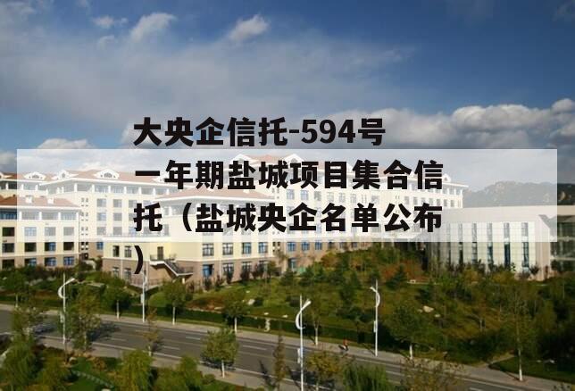 大央企信托-594号一年期盐城项目集合信托（盐城央企名单公布）