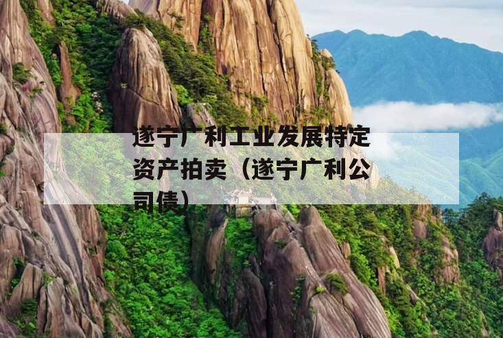 遂宁广利工业发展特定资产拍卖（遂宁广利公司债）