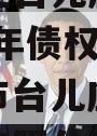 山东枣庄台儿庄财金投资2023年债权资产（枣庄市台儿庄国有资产经营有限公司评级）