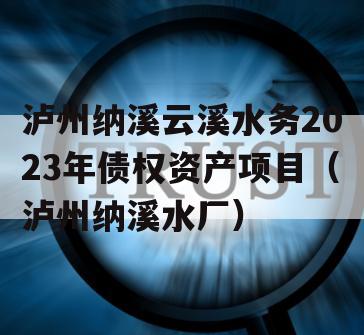 泸州纳溪云溪水务2023年债权资产项目（泸州纳溪水厂）