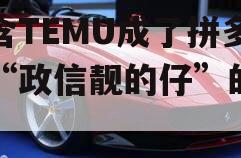 包含TEMU成了拼多多“政信靓的仔”的词条