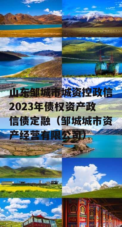 山东邹城市城资控政信2023年债权资产政信债定融（邹城城市资产经营有限公司）