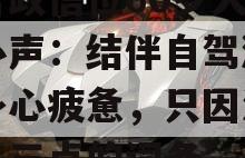 包含政信位60岁大叔的心声：结伴自驾游让我身心疲惫，只因没做到这三点的词条