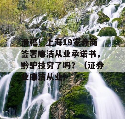 滑稽！上海19家券商签署廉洁从业承诺书，黔驴技穷了吗？（证券业廉洁从业）